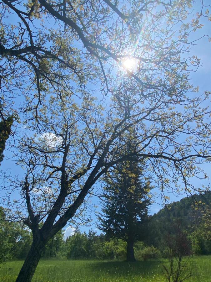 加普La Genevraie别墅 外观 照片